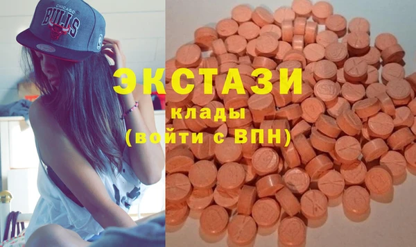 гашик Бикин