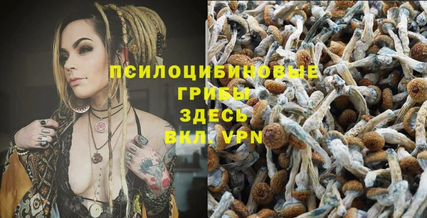 твердый Алзамай
