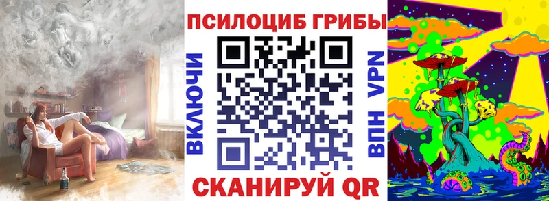 Галлюциногенные грибы Psilocybine cubensis  как найти закладки  Пикалёво 